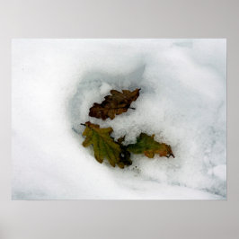 Eiche-Blätter im Leinwand der Schnee-Urlaubskarte Poster