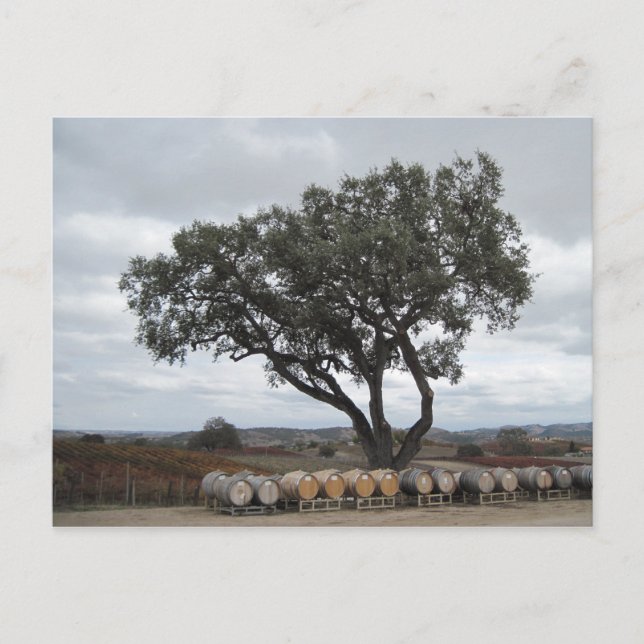 Eiche mit Weinfässern, Doce Robles Postkarte (Vorderseite)