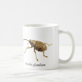 Eichelrüssler-Tasse Kaffeetasse