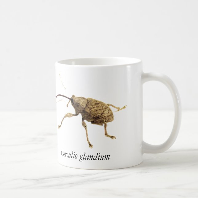 Eichelrüssler-Tasse Kaffeetasse (Rechts)