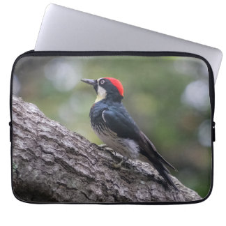 Eichelspecht-Laptop-Hülle | Vogelkunst Laptopschutzhülle