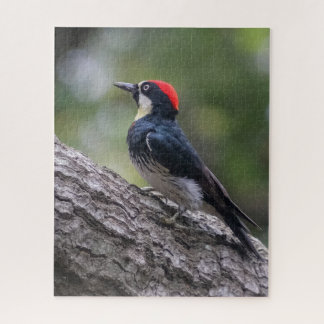Eichelspecht-Puzzle | Waldvogel-Kunst