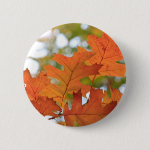 Eichen-Blätter Button