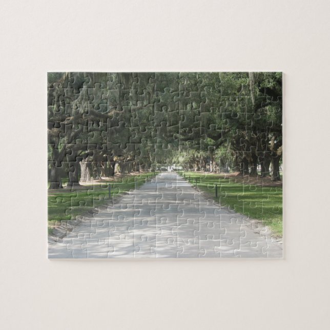 Eichen-Gasse bei Boone Hall, Charleston (Horizontal)
