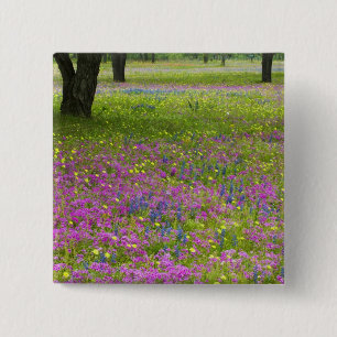 Eichen mit Phlox-Feld, Blaue Bonnetts Button