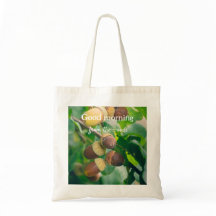 Eichenäste mit Eicheln