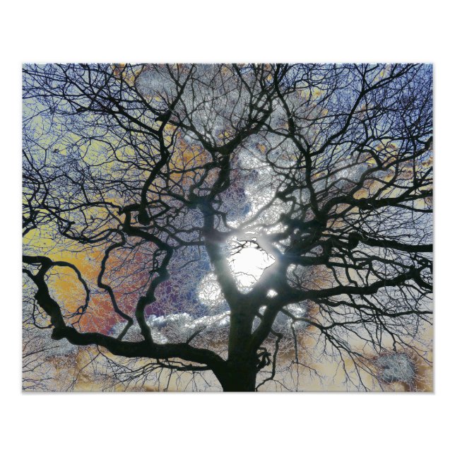 Eichenbaum im Frühjahr, farbige Himmelsbearbeitung Fotodruck (Vorne)