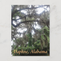 Eichenbaum mit Moschus in Daphne, Alabama