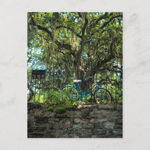 Eichenbaum und klassisches Fahrrad Postkarte