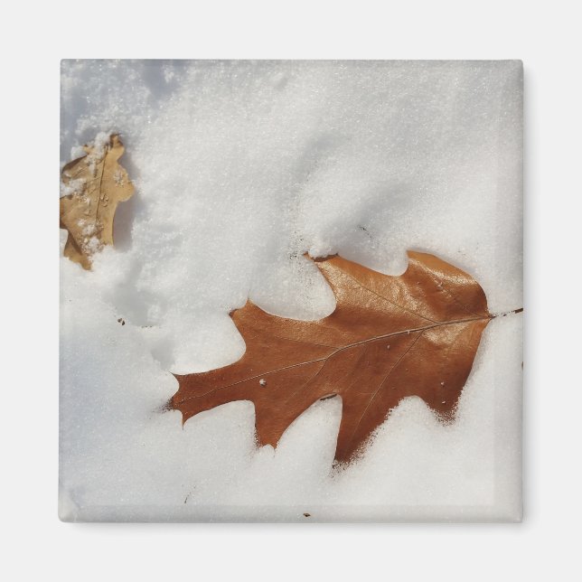 Eichenblatt auf dem Schnee Magnet (Vorne)