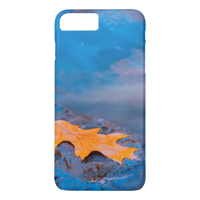 Eichenblatt auf Felsen am Rosseau-Fluss Case-Mate iPhone Hülle (Rückseite)