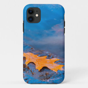 Eichenblatt auf Felsen am Rosseau-Fluss iPhone 11 Hülle