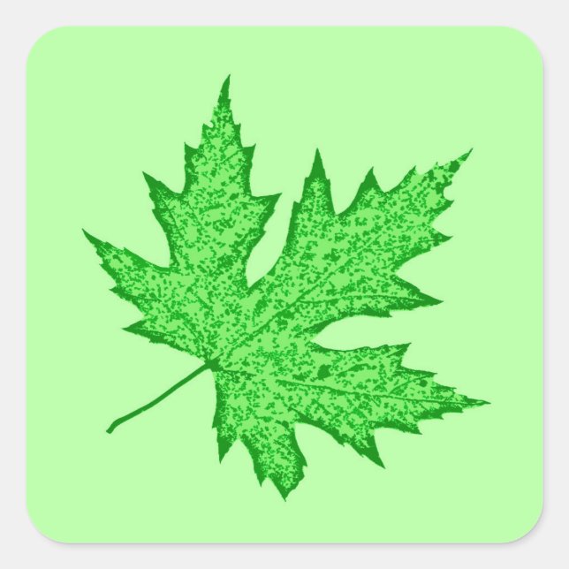 Eichenblatt - grüne Farbtöne Quadratischer Aufkleber (Vorderseite)