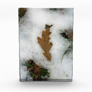 Eichenblatt im Schnee-Urlaubskartenposter Fotoblock