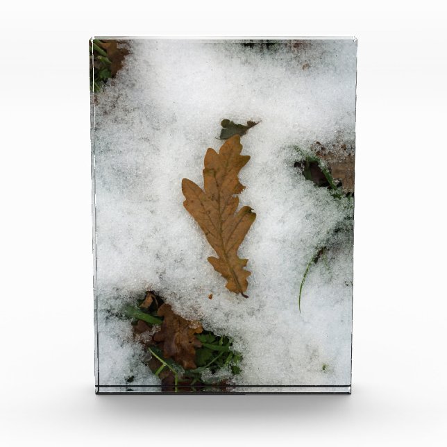 Eichenblatt im Schnee-Urlaubskartenposter Fotoblock (Vorderseite)
