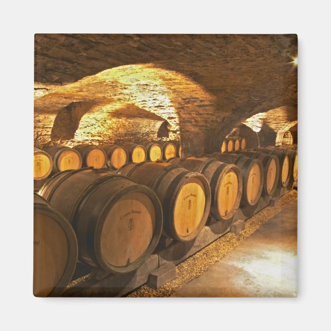 Eichenfässern im Keller der Domaine Comte Magnet (Vorne)