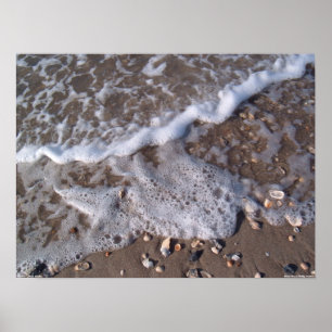 Eicheninsel, North Carolina - Sand und Muscheln Poster