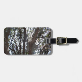 Eichenwald blauer Himmel und Moos Gepäckanhänger