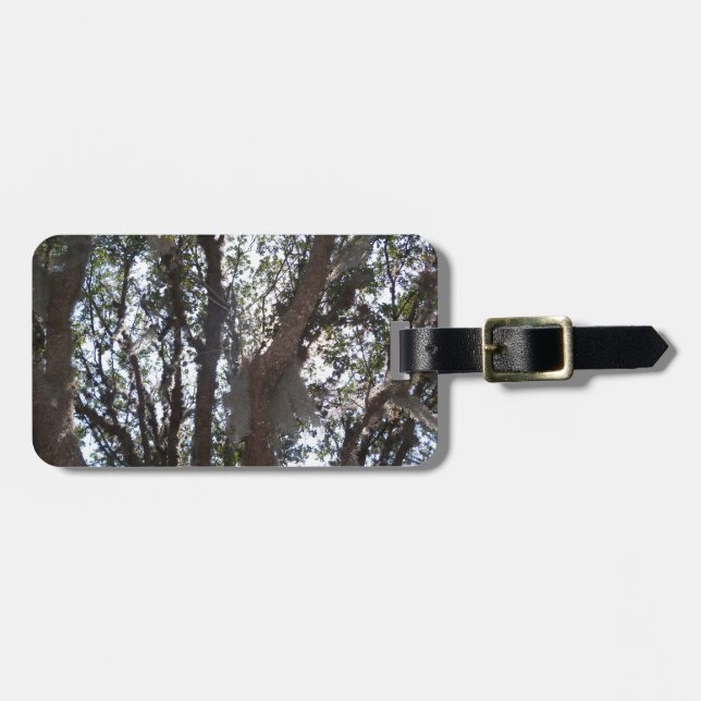 Eichenwald blauer Himmel und Moos Gepäckanhänger (Vorderseite horizontal)