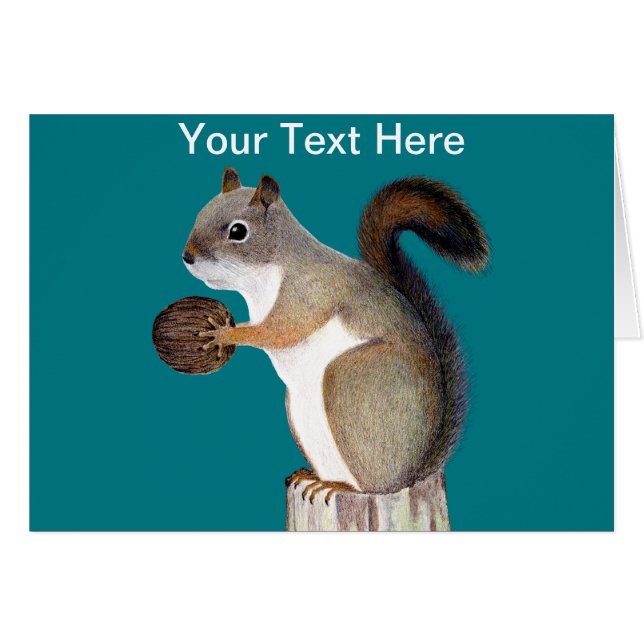 Eichhörnchen (Vorderseite (Horizontal))