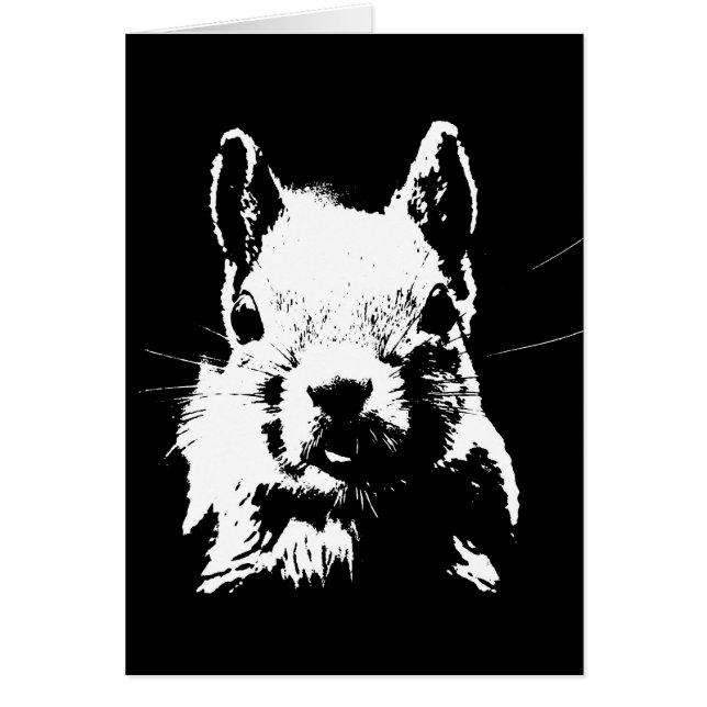 Eichhörnchen (Vorne)