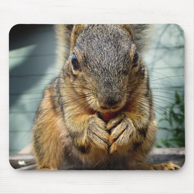 Eichhörnchen 1 mousepad (Vorne)