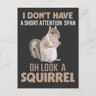Eichhörnchen Achtung Spaß Garten Kleines Tier Love Postkarte