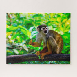 Eichhörnchen-Affe.