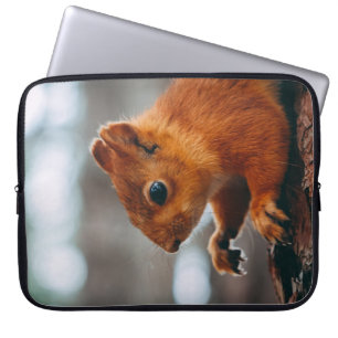EICHHÖRNCHEN AM BAUMSTAMM LAPTOPSCHUTZHÜLLE