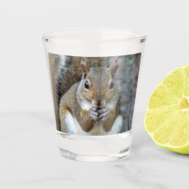 Eichhörnchen an einer Nut Schnapsglas