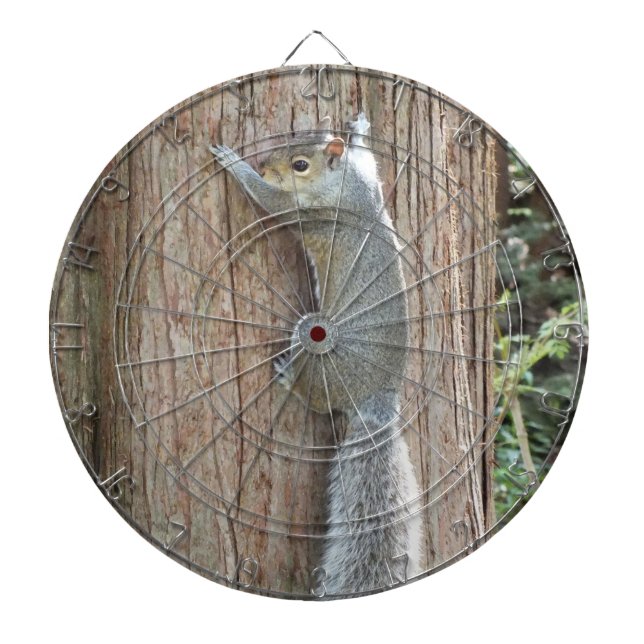 Eichhörnchen auf Baumdartboard Dartscheibe (vorne)