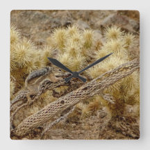 Eichhörnchen auf Cholla Cactus Skeleton