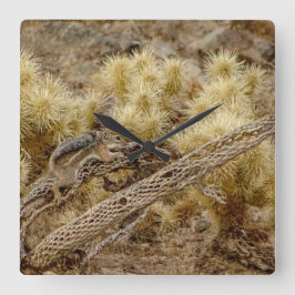 Eichhörnchen auf Cholla Cactus Skeleton Quadratische Wanduhr