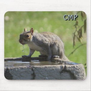 Eichhörnchen auf dem Vogelbad mit Ihren Initialen Mousepad