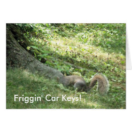 Eichhörnchen auf der Suche nach Autoschlüssel