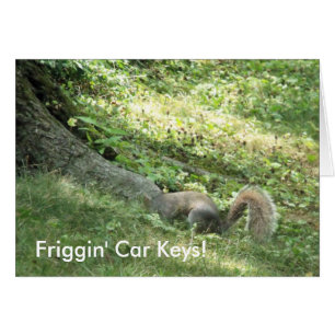 Eichhörnchen auf der Suche nach Autoschlüssel