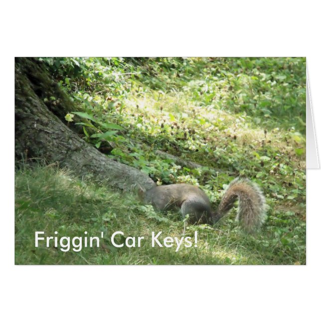 Eichhörnchen auf der Suche nach Autoschlüssel (Vorderseite (Horizontal))