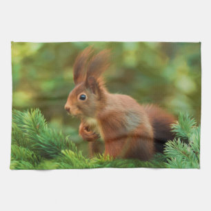 Eichhörnchen auf einem Baum Küchentuch