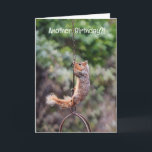 Eichhörnchen auf einer Kette Funny Birthday Card Karte<br><div class="desc">Diese bezaubernde Karte zeigt mein Originalwerk, das ist mein Foto eines Eichhörnchens, das an der Kette eines Vogelfeders hängt. Ich wandte eine Aquarellmaltechnik an, um ihr einen künstlerischen Flair zu geben. Die Vorderseite der Karte Staaten, "Ein anderer Geburtstag?!" und das Innere der Karte Staaten "Hang da rein und genieße den...</div>