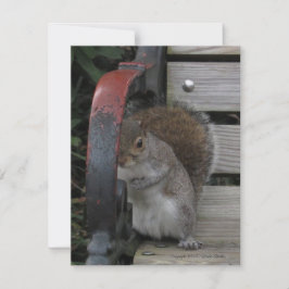 Eichhörnchen auf einer Parkbank individuell anpass Dankeskarte