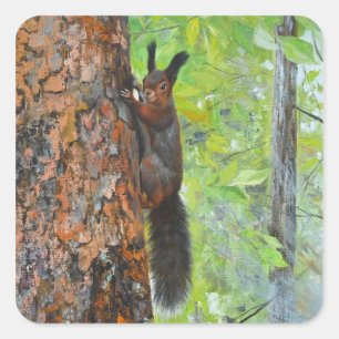 Eichhörnchen auf Kiefer – realistische Ölgemälde Quadratischer Aufkleber