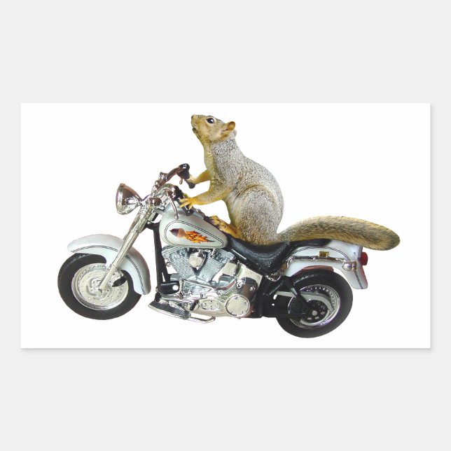 Eichhörnchen auf Motorrädern Rechteckiger Aufkleber (Vorderseite)