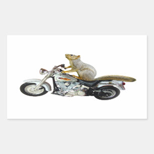 Eichhörnchen auf Motorrädern Rechteckiger Aufkleber