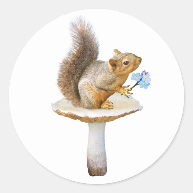 Eichhörnchen auf Pilz mit Blume Aufkleber (Vorderseite)