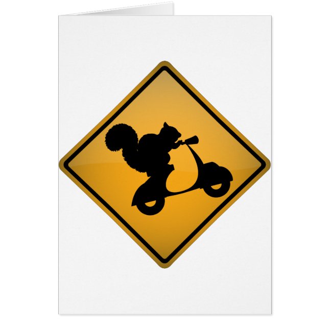 Eichhörnchen auf Roller (Vorne)