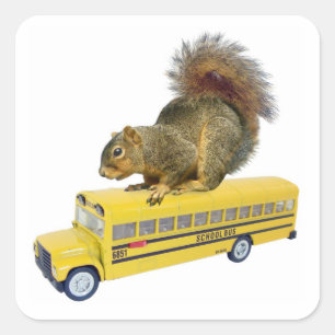 Eichhörnchen auf Schulbus Quadratischer Aufkleber