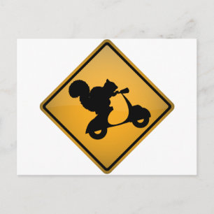 Eichhörnchen auf Scooter Postkarte