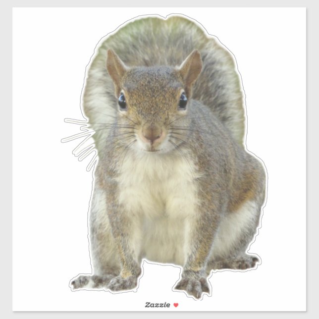 Eichhörnchen Aufkleber (Blatt)