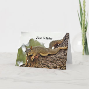 Eichhörnchen Baum Hochzeitsglückwünsche Karte