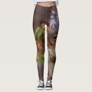 Eichhörnchen beginnt geduldig leggings